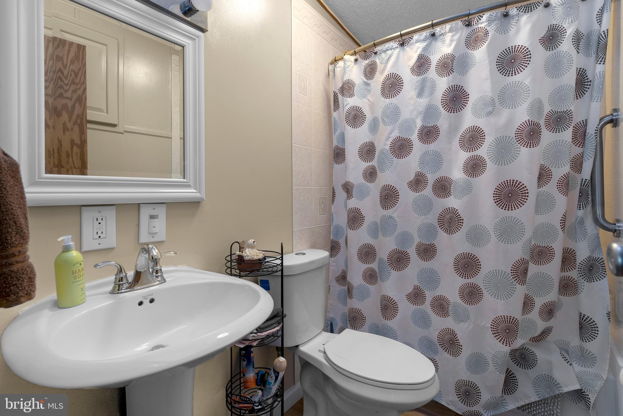 4311 Ridge Drive Mount Airy, MD 21771 - Photo 16 of 18 Bathroom