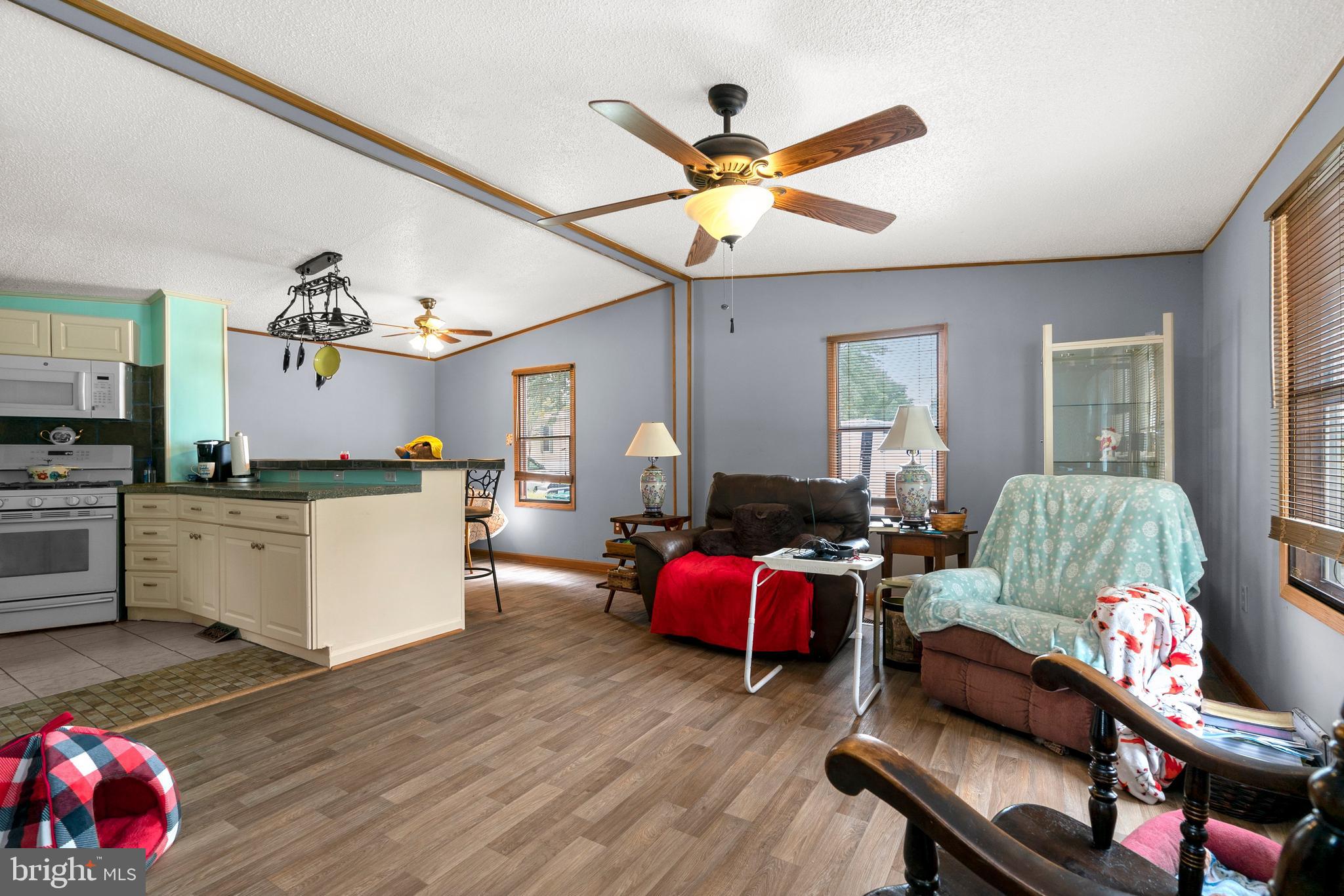 4311 Ridge Drive Mount Airy, MD 21771 - Photo 3 of 18 Living Room