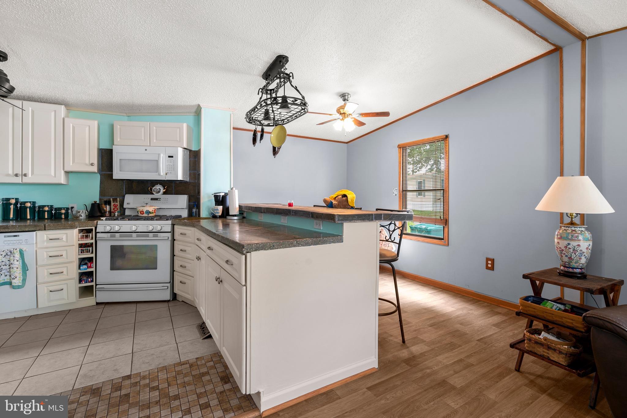 4311 Ridge Drive Mount Airy, MD 21771 - Photo 9 of 18 Kitchen