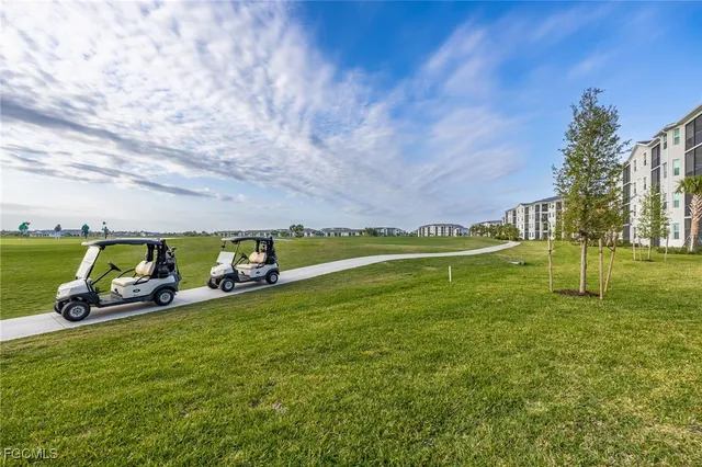 a view of a park with large trees
