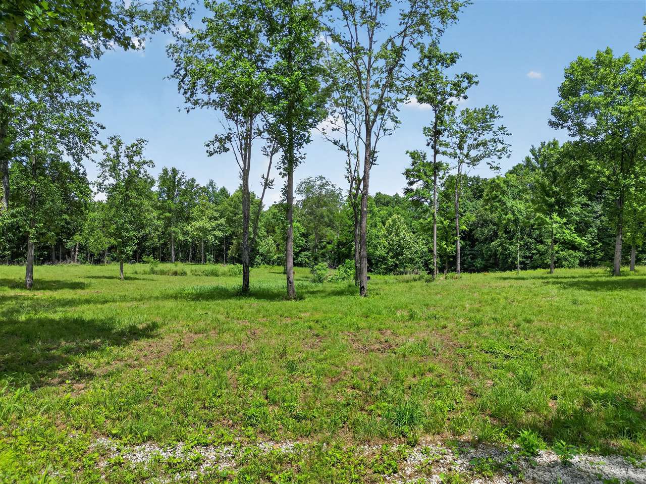 0 Dennis Road Russellville, KY 42276 - Photo 11 of 14 Gallery Image 11