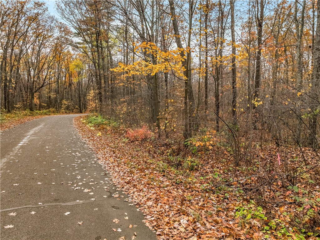 0 North Dream Catcher Road Hayward, WI 54843 - Photo 11 of 22