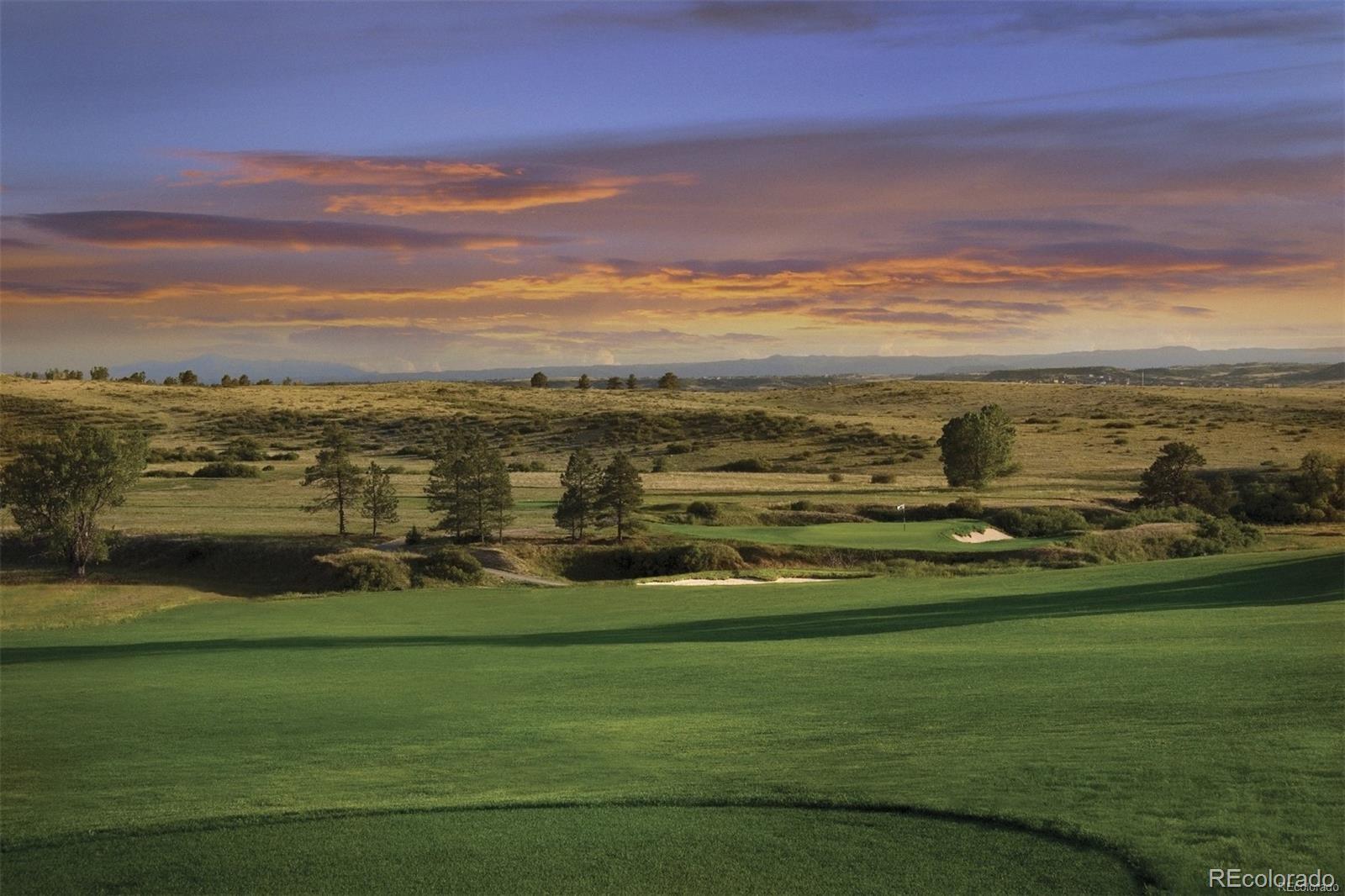 7868 Forest Keep Circle Parker, CO 80134 - Photo 27 of 36