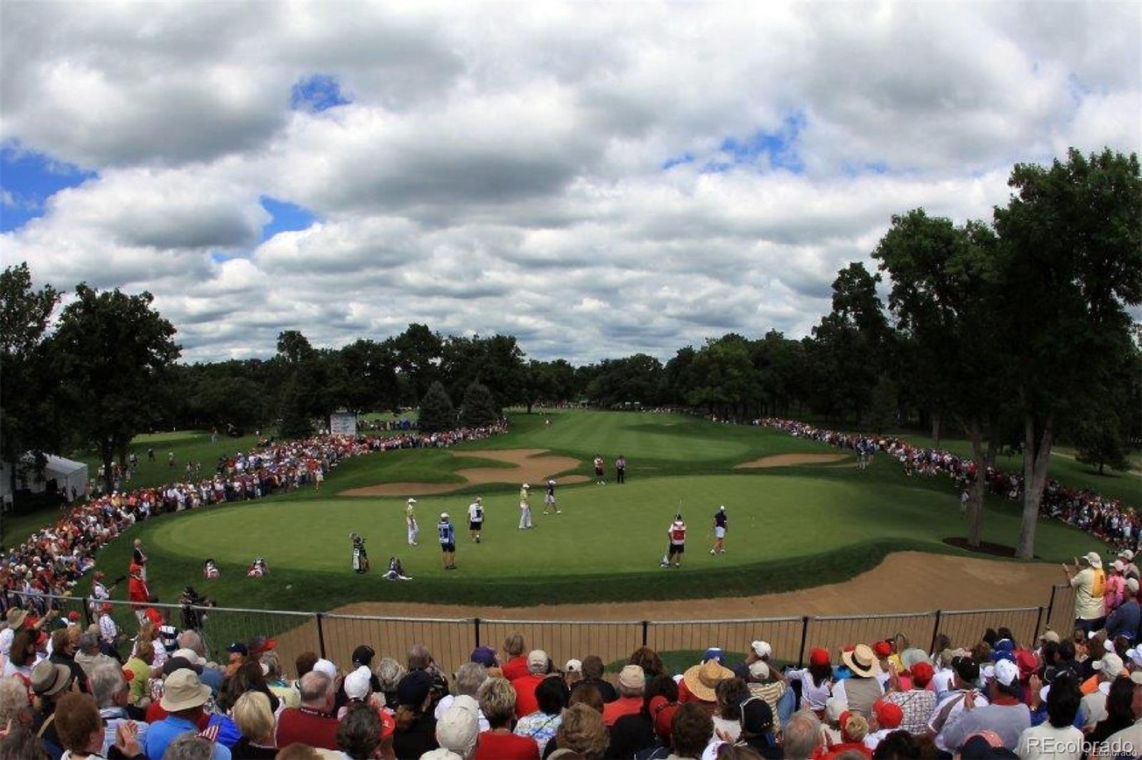 7868 Forest Keep Circle Parker, CO 80134 - Photo 28 of 36