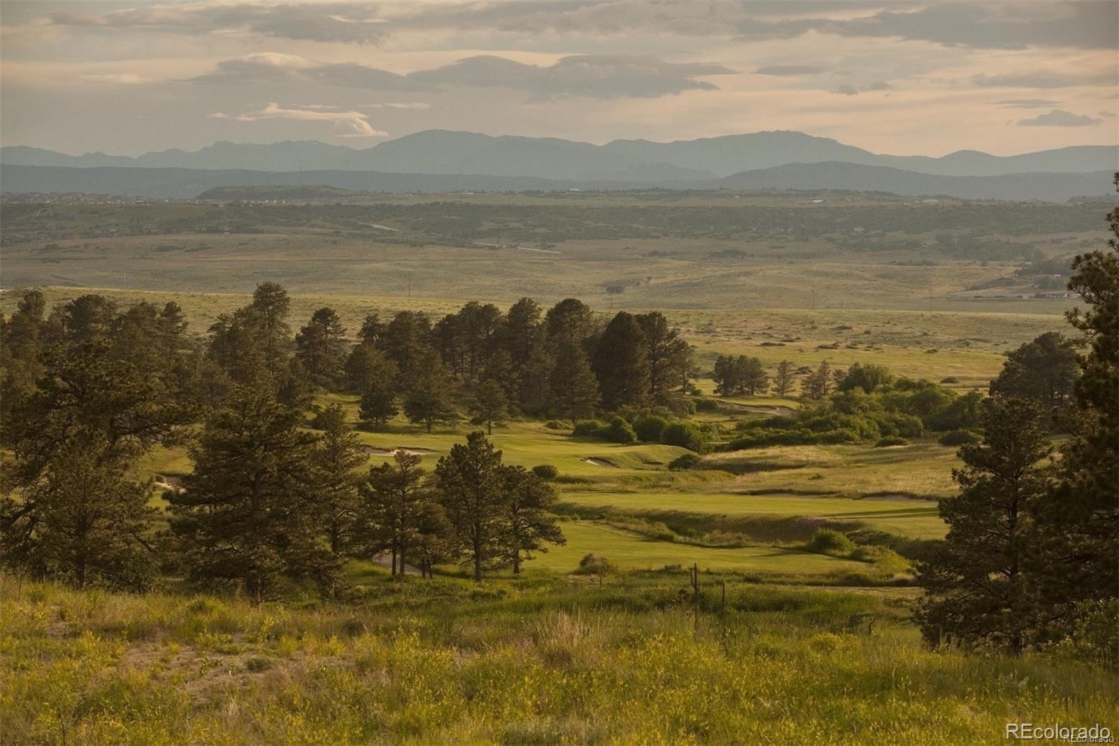 7868 Forest Keep Circle Parker, CO 80134 - Photo 33 of 36