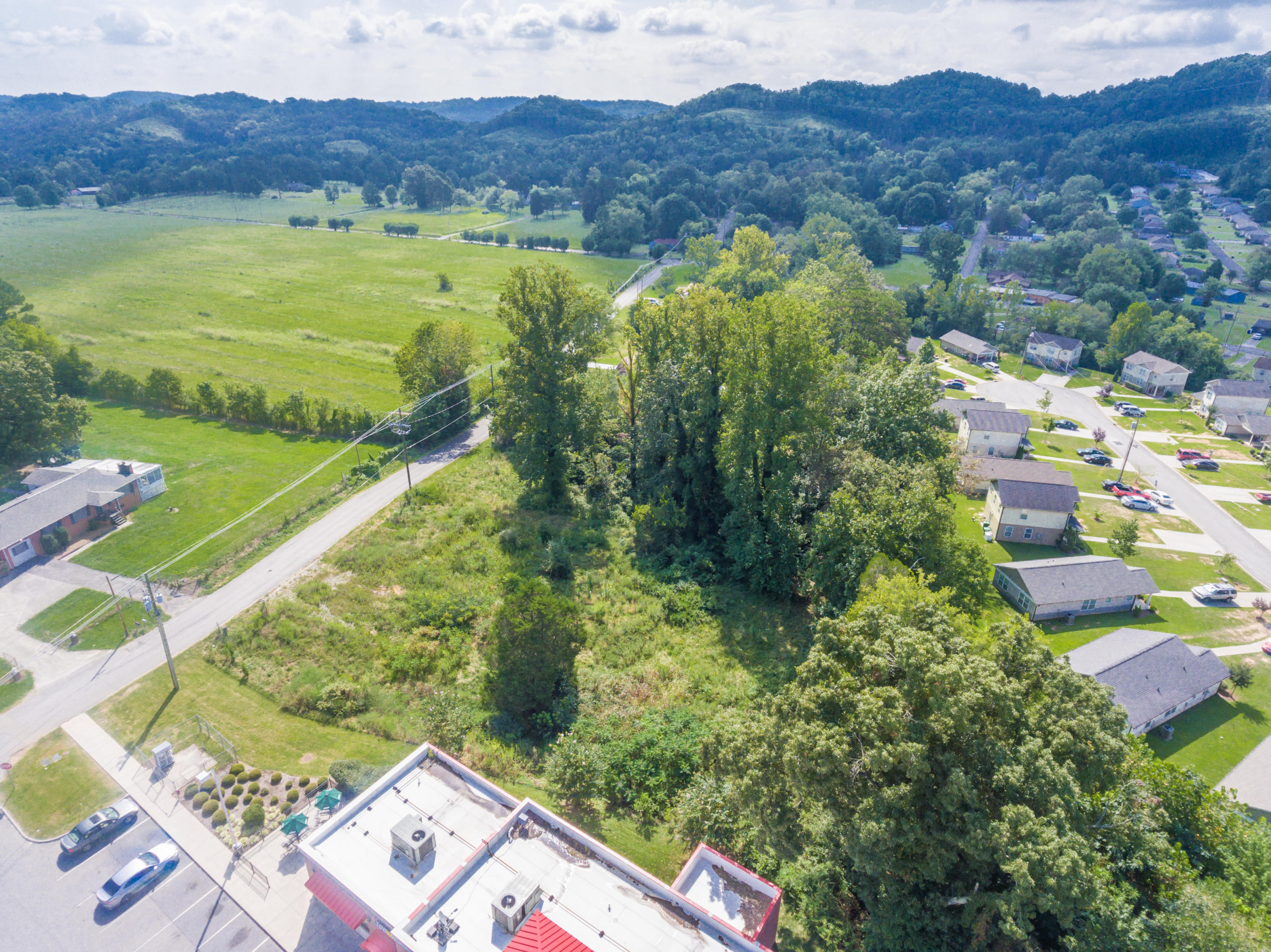 110 South Dogwood Road Powell, TN 37849 - Photo 4 of 6 110SDogwoodRd-6