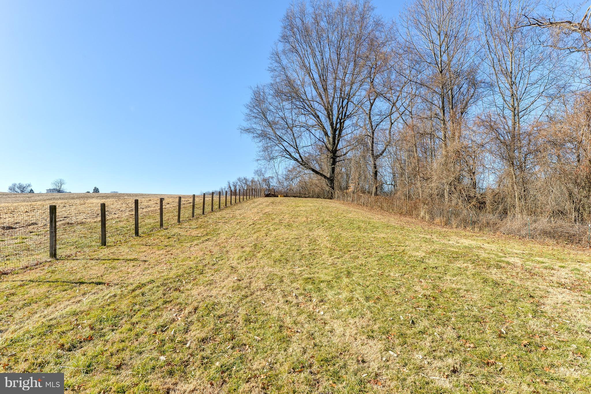 905 Kirk Road Elkton, MD 21921 - Photo 17 of 21 LARGE YARD