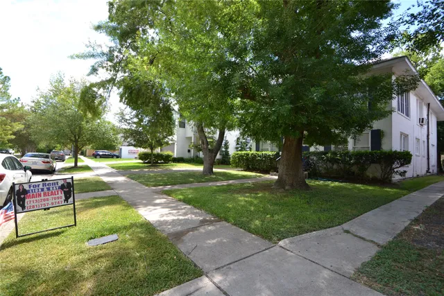 a view of a park with large trees