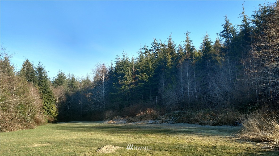 1702 Ocean Beach Road Copalis Crossing, WA 98536 - Photo 11 of 13 Gallery Image 11