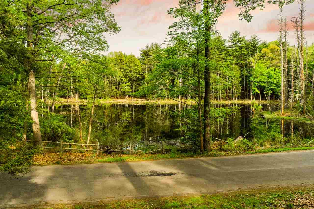 94 Coxing Road Cottekill, NY 12419 - Photo 23 of 28 Photo 24