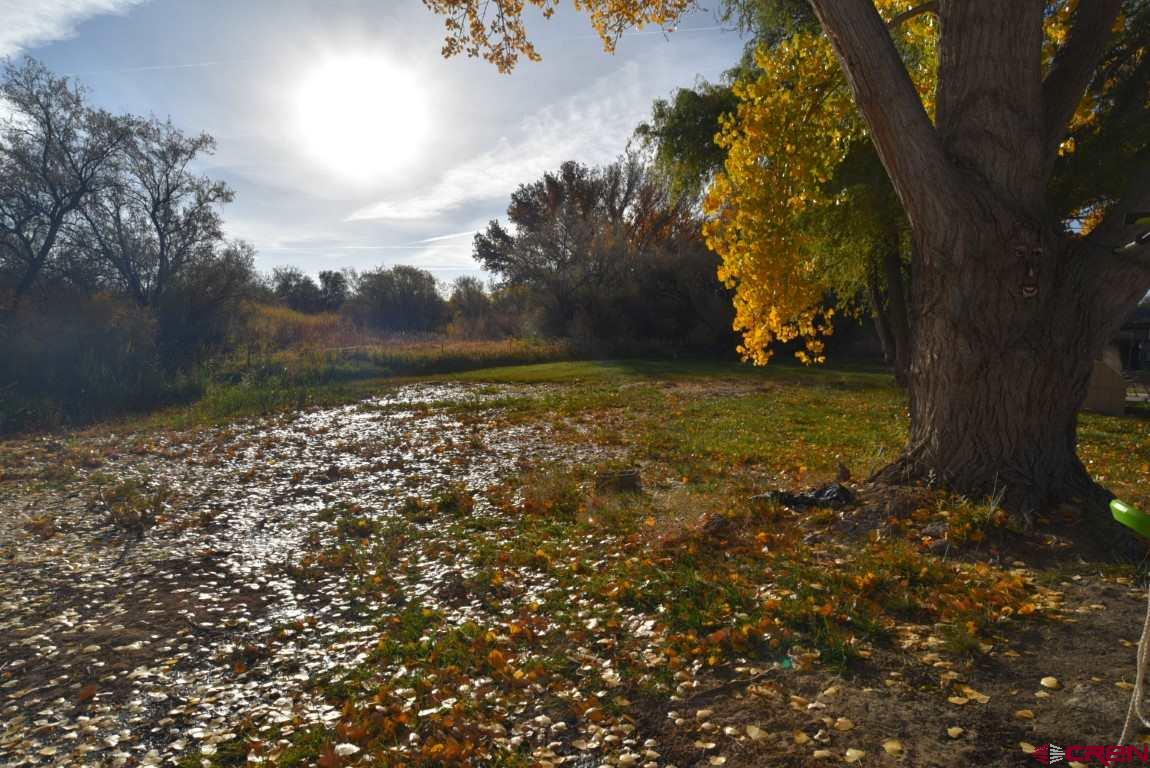 524 1740th Road Delta, CO 81416 - Photo 31 of 35