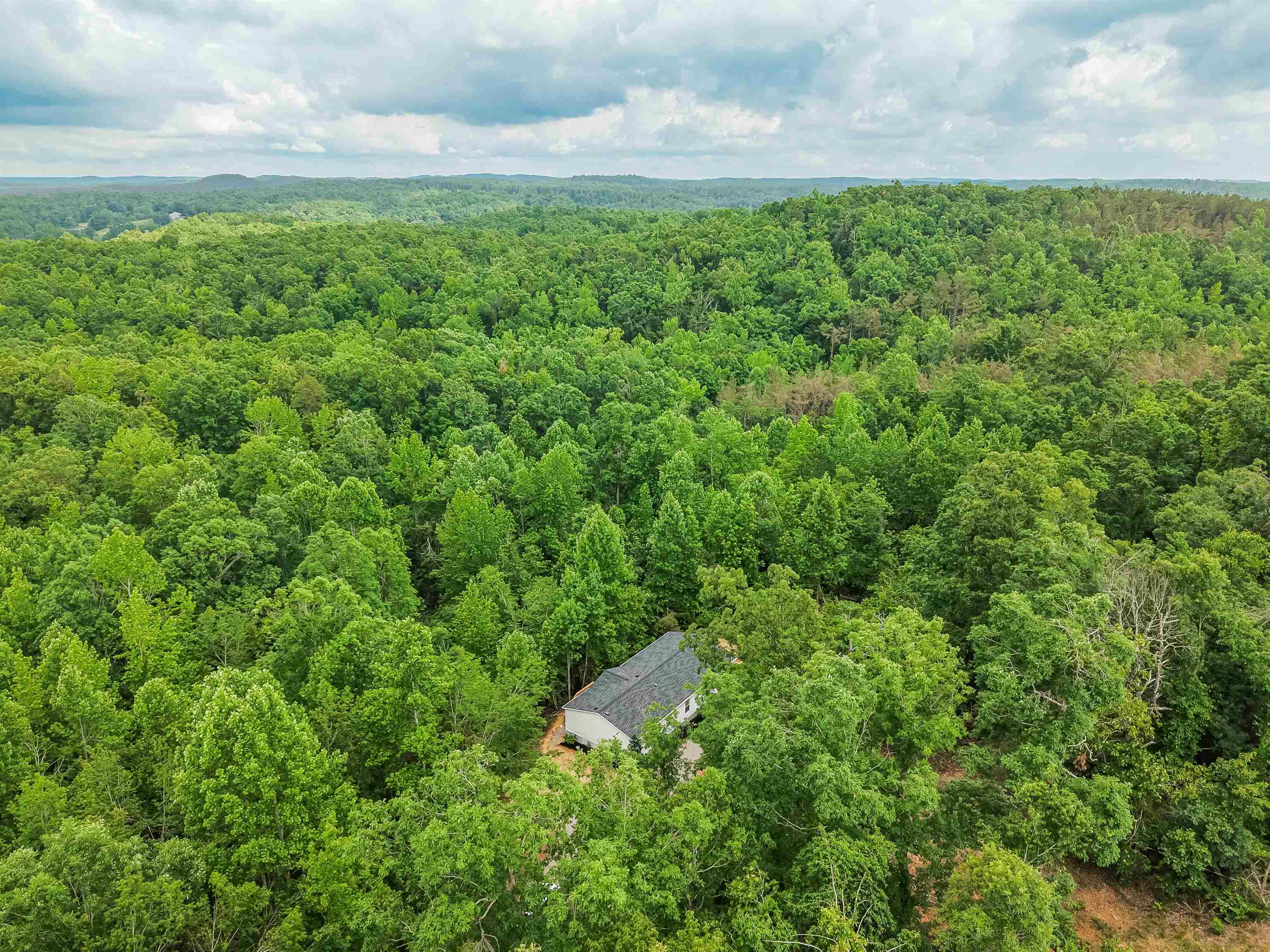 890 Burks Road Savannah, TN 38372 - Photo 30 of 40 a view of a big yard with lots of green space