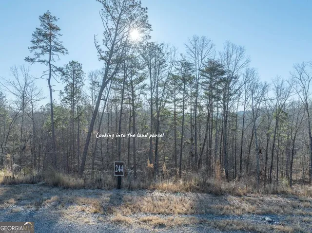 a view of outdoor space and green space