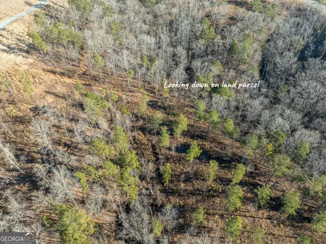 a view of a dry yard with green space