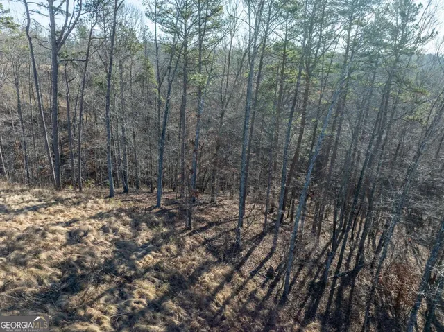 a view of a dry yard with trees