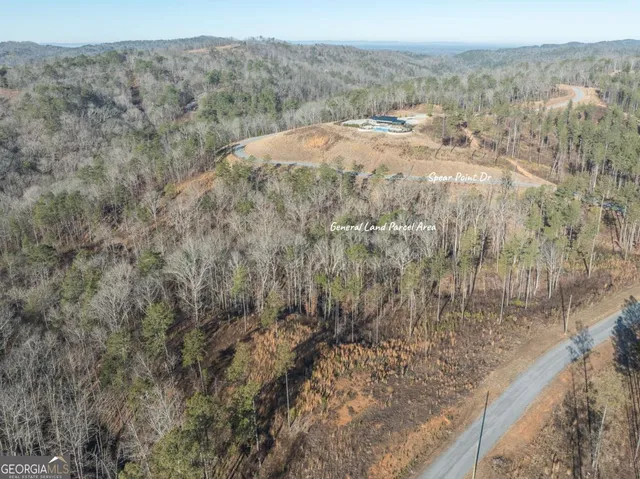 a view of a dry yard with green space