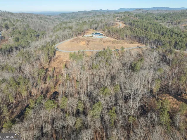 a view of a field with trees in the background