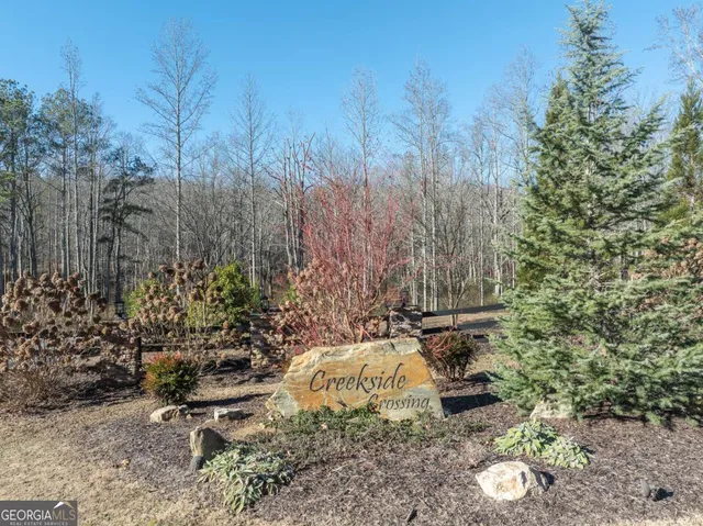 a view of outdoor space and tree in the background