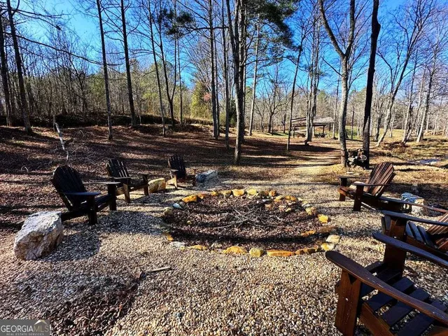 a view of a park with plants and trees