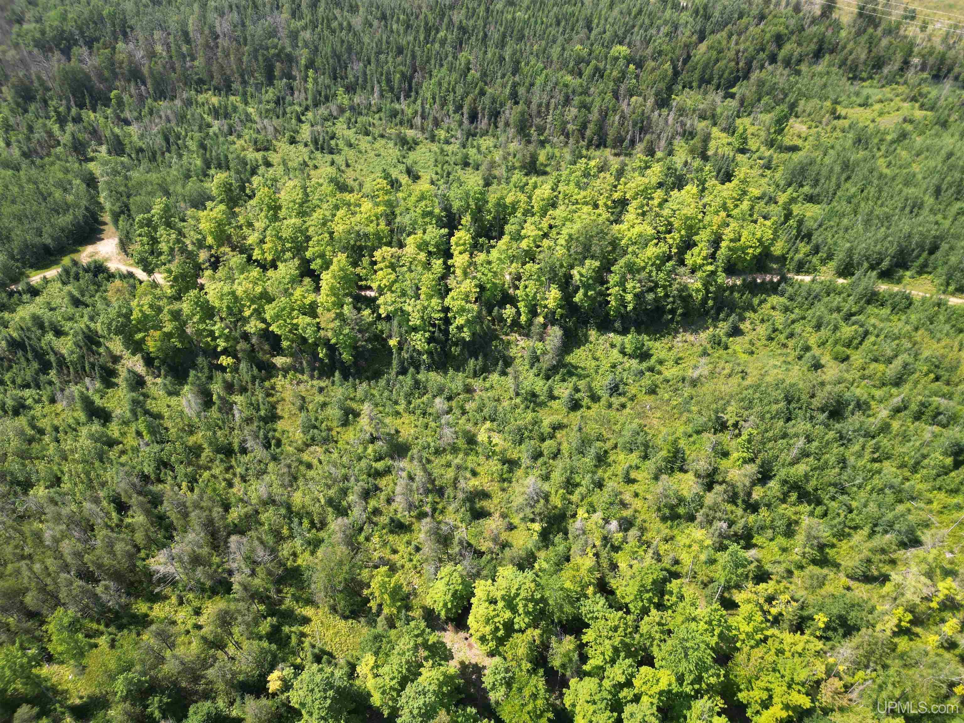 Tbd Cr 557 Road Perronville, MI 49873 - Photo 20 of 27