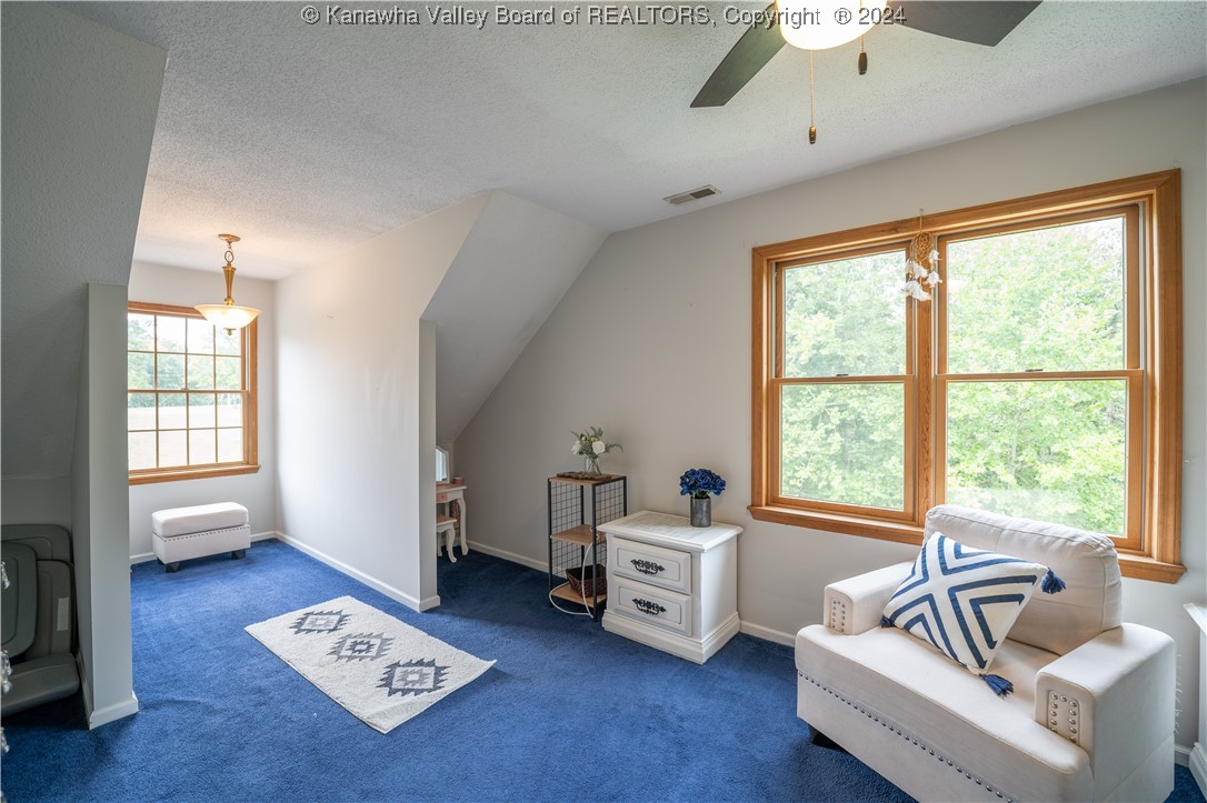 186 Pine Grove Road Sumerco, WV 25567 - Photo 31 of 36 Gallery Image 31
