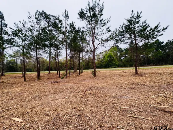 a view of park space