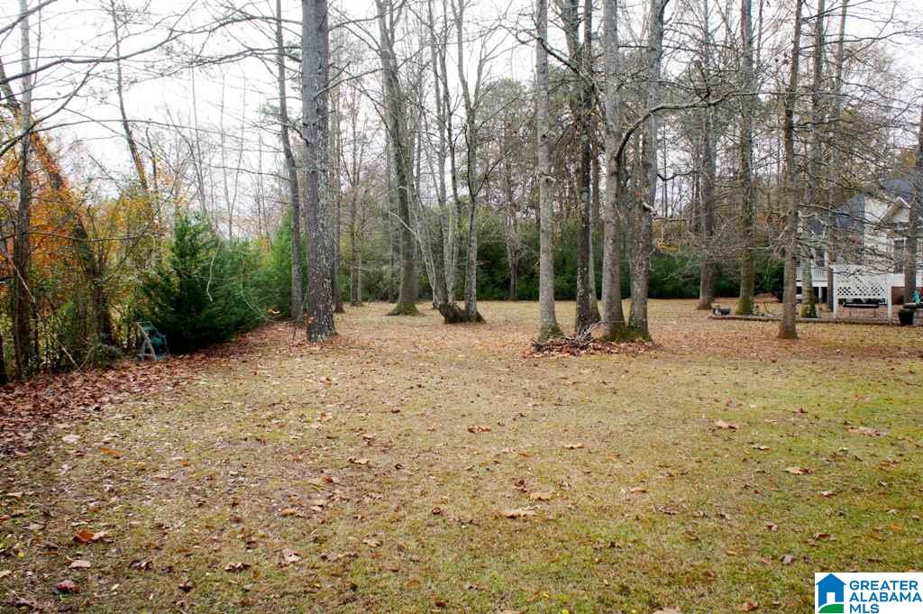 26 Timber Trace Oxford, AL 36207 - Photo 36 of 39