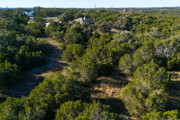 a view of a yard with a tree