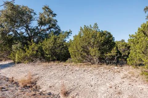 a view of a yard with a tree