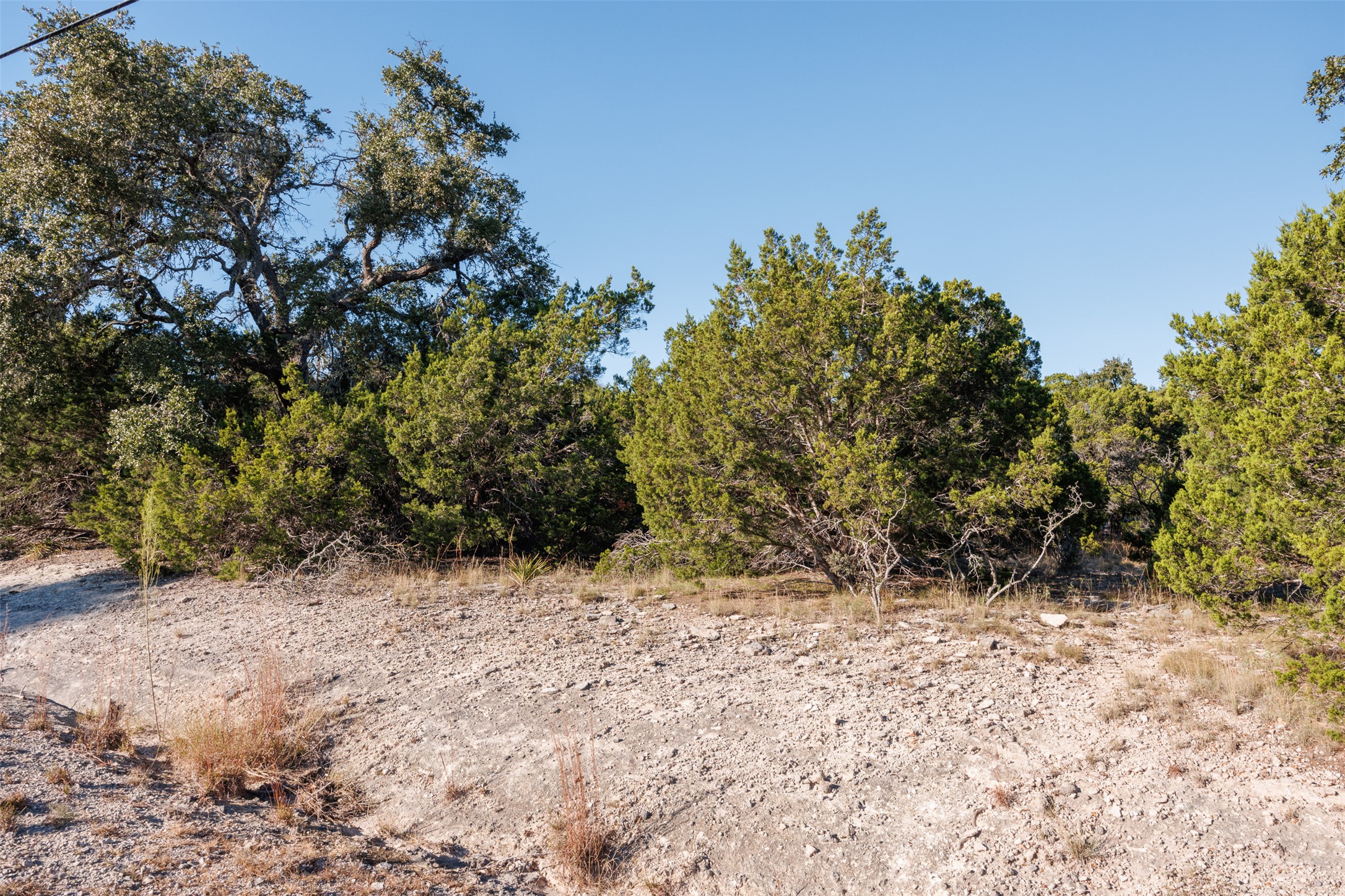 1101 Madrone Road Fischer, TX 78623 - Photo 16 of 20