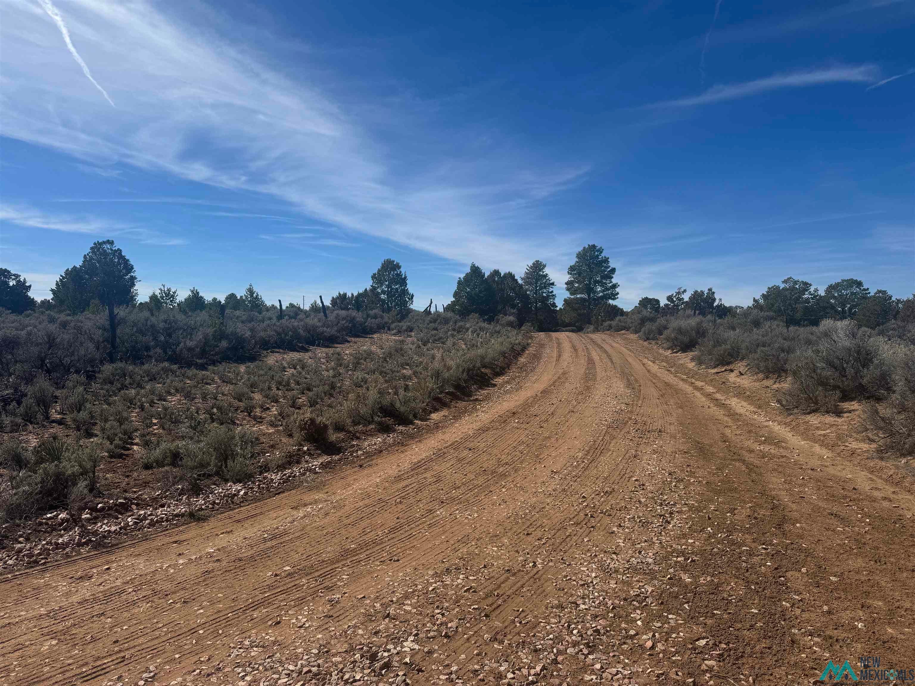 51 Panther Road Gallup, NM 87301 - Photo 7 of 12 View of dirt / gravel road featuring a view of countryside