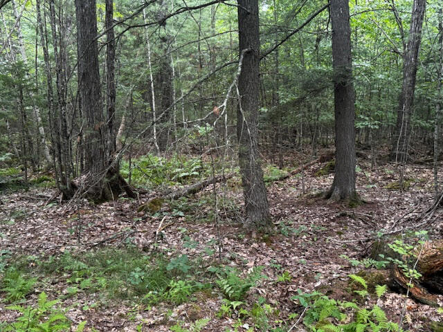 515 Bean Road Otisfield, ME 04270 - Photo 14 of 20 13