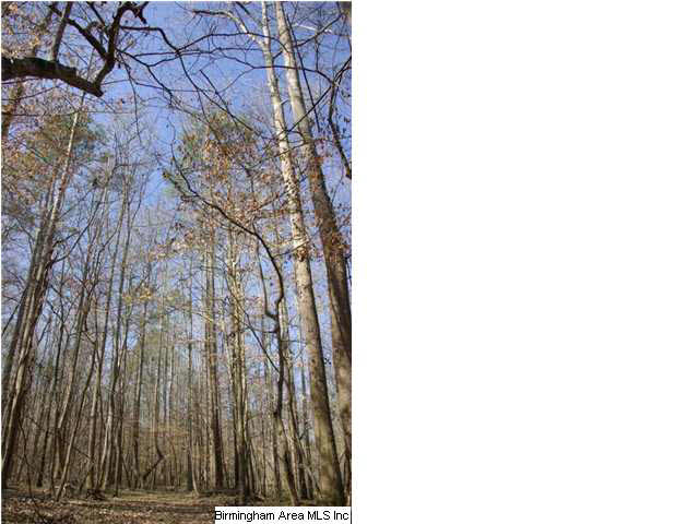 3 Horton Mill Road, Unit 1 Cleveland, AL 35049 - Photo 15 of 28 Gallery Image 15
