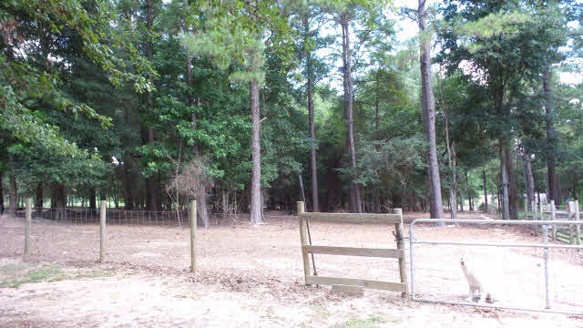 1625 Highway 31 Atmore, AL 36502 - Photo 10 of 45
