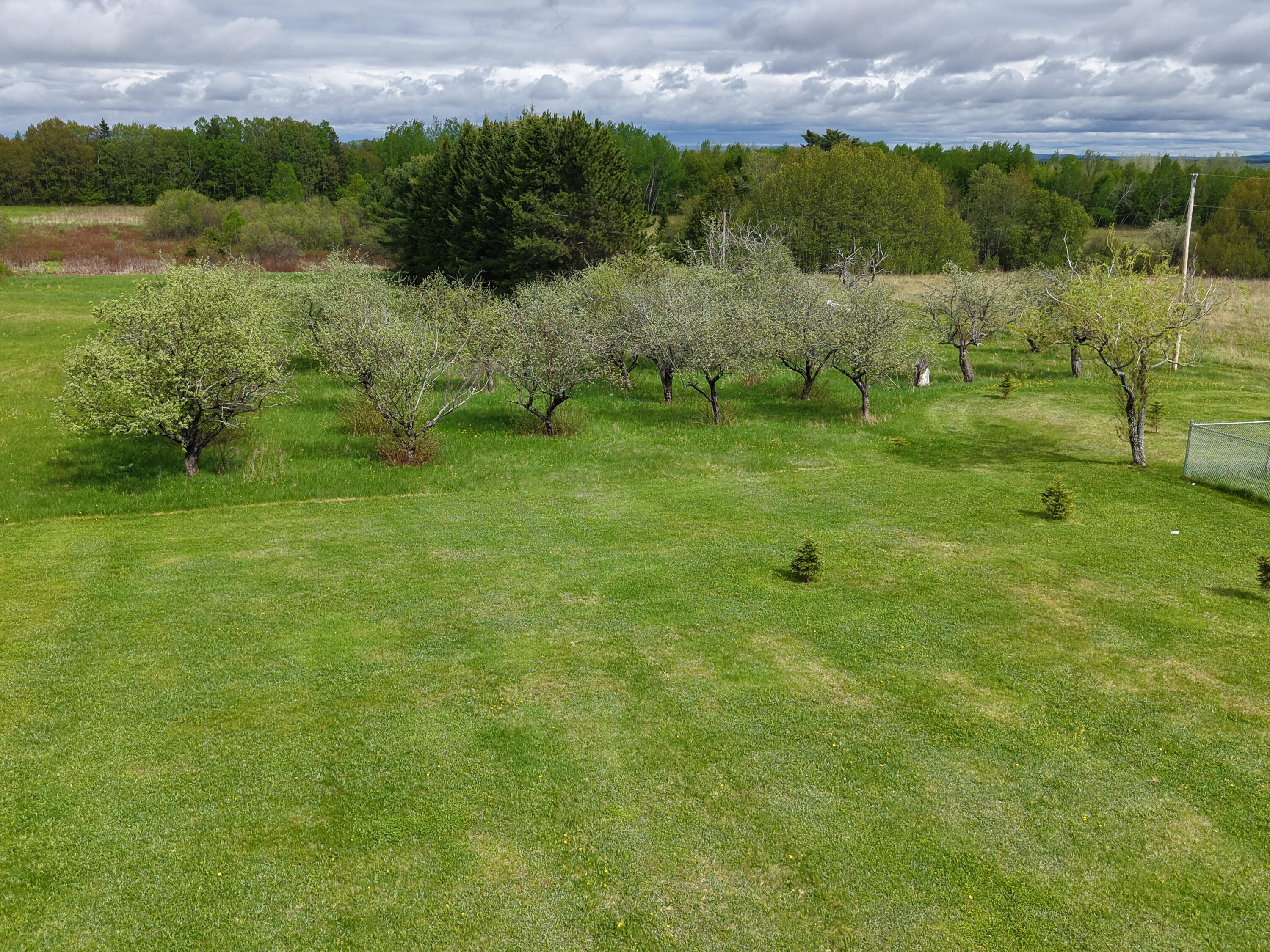 150 Howe Road Wade, ME 04786 - Photo 82 of 87 2026-05-27 15.28.03-1