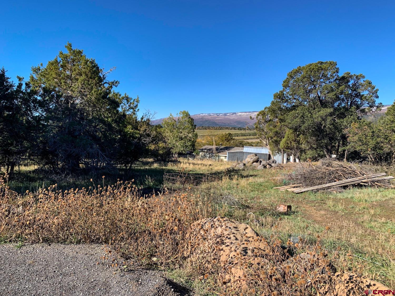 23202 Ute Trail Road Cedaredge, CO 81413 - Photo 13 of 14 a view of swimming pool with a yard