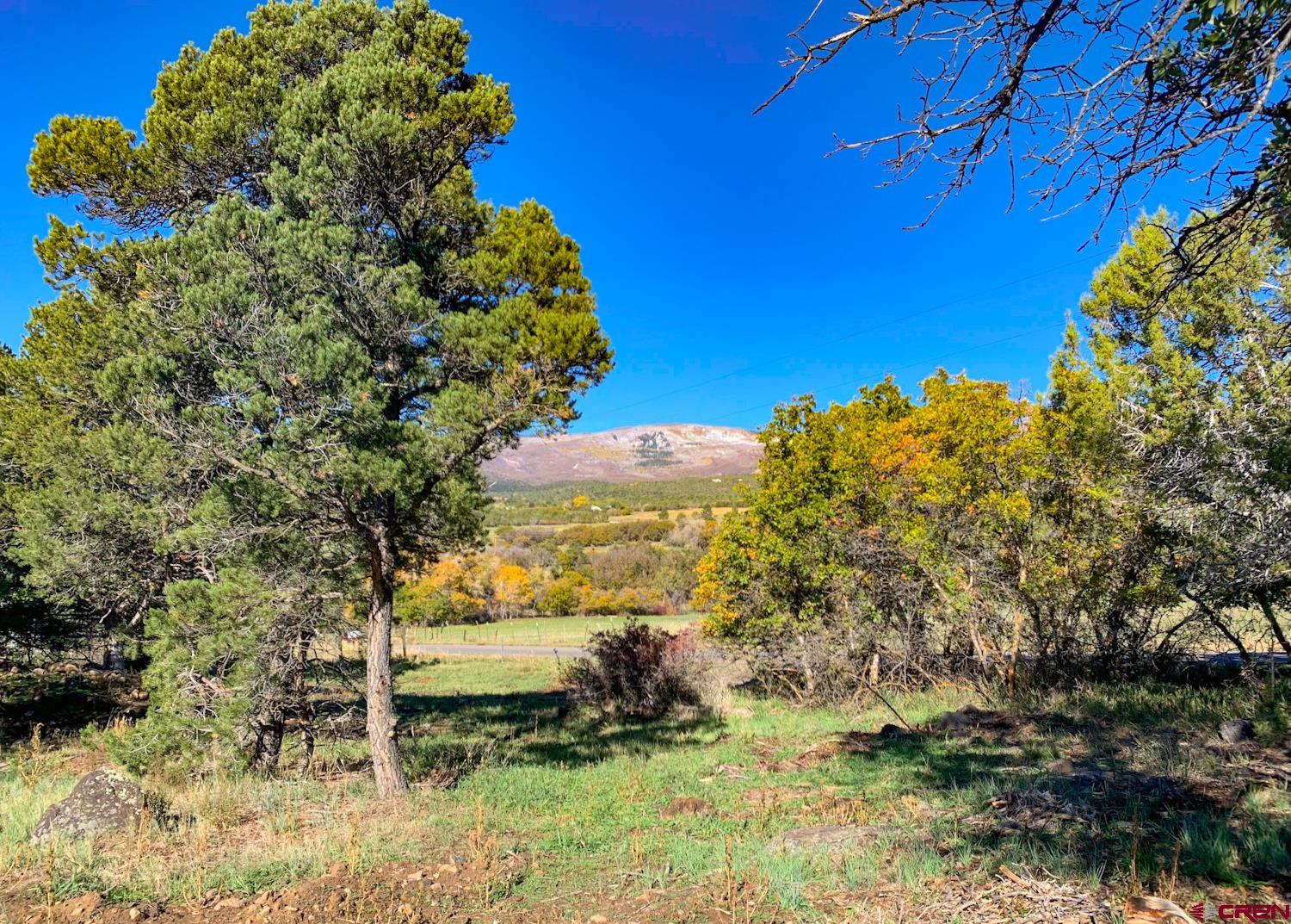 23202 Ute Trail Road Cedaredge, CO 81413 - Photo 14 of 14 a view of a yard