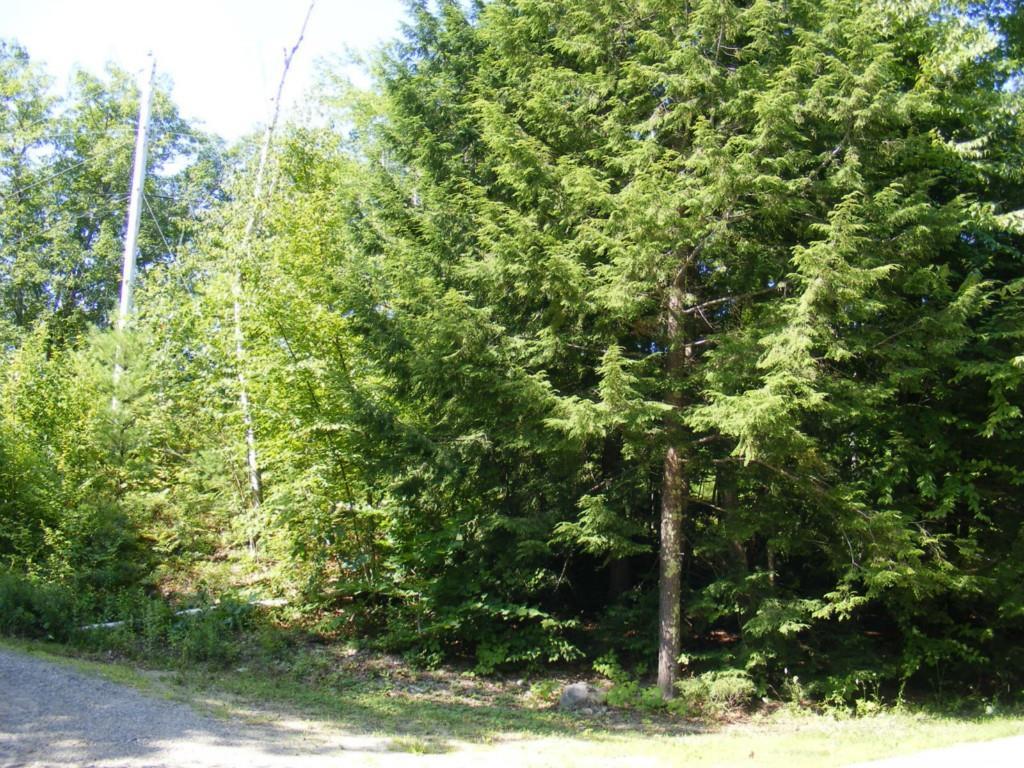 O O Sadie Lane/poor Farm Road Lyman, ME 04002 - Photo 1 of 6 Photo