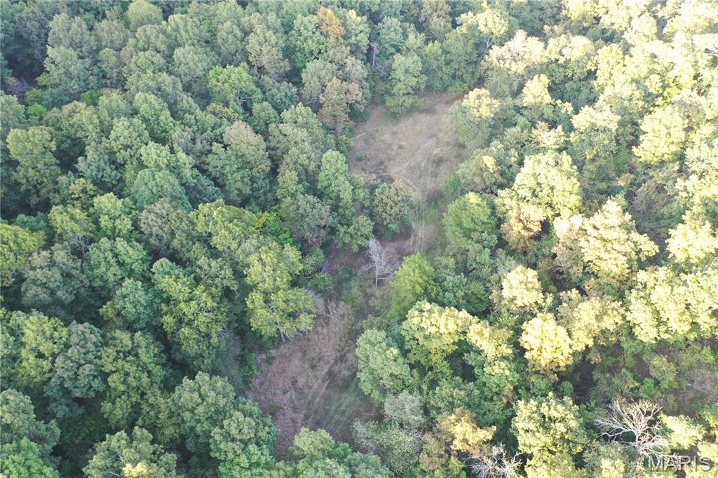 Tdb Upper Janes Creek Road Ravenden, AR 72459 - Photo 11 of 84