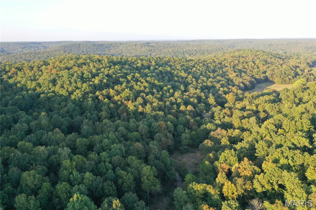 Tdb Upper Janes Creek Road Ravenden, AR 72459 - Photo 12 of 84