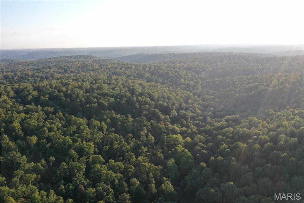 Tdb Upper Janes Creek Road Ravenden, AR 72459 - Photo 13 of 84
