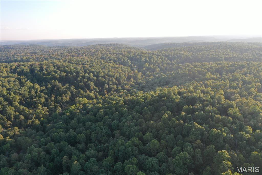 Tdb Upper Janes Creek Road Ravenden, AR 72459 - Photo 15 of 84