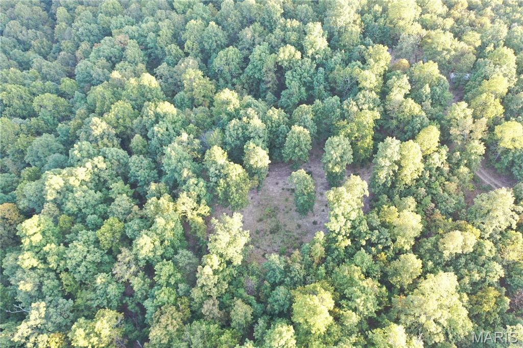 Tdb Upper Janes Creek Road Ravenden, AR 72459 - Photo 16 of 84