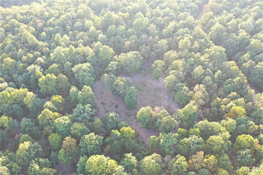 Tdb Upper Janes Creek Road Ravenden, AR 72459 - Photo 18 of 84