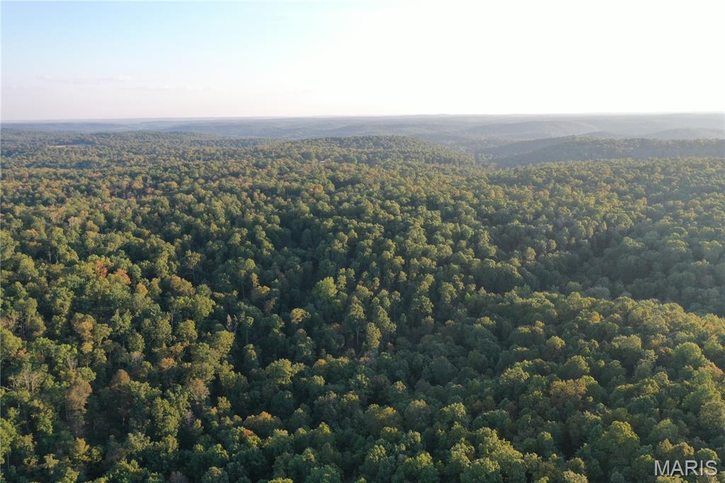 Tdb Upper Janes Creek Road Ravenden, AR 72459 - Photo 19 of 84