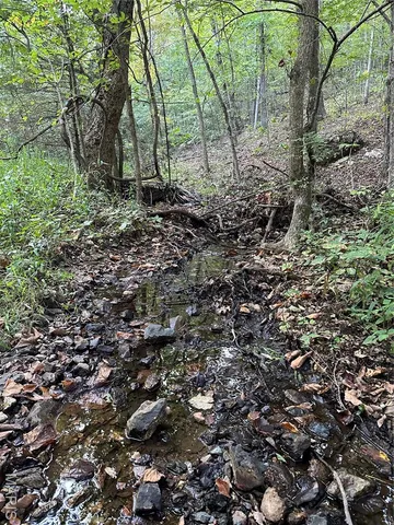 $239,000 | Tdb Upper Janes Creek Road, Ravenden, AR 72459