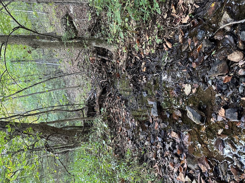 Tdb Upper Janes Creek Road Ravenden, AR 72459 - Photo 2 of 84