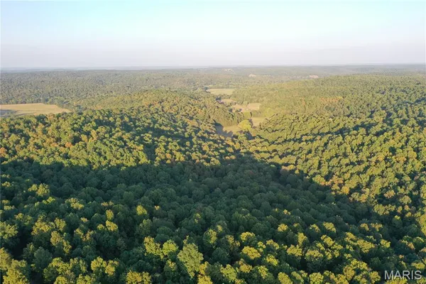 $224,950 | Tdb Upper Janes Creek Road, Ravenden, AR 72459