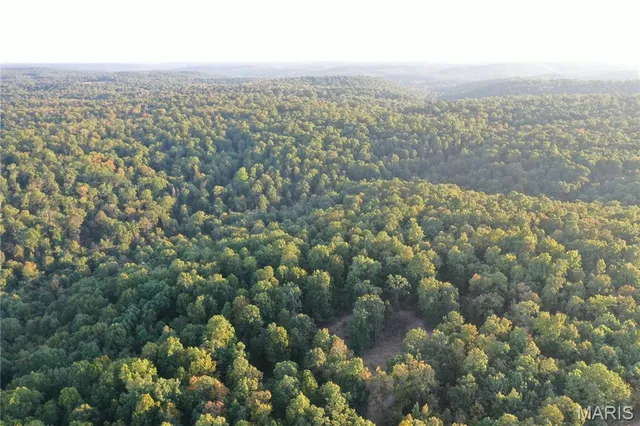 $239,000 | Tdb Upper Janes Creek Road, Ravenden, AR 72459