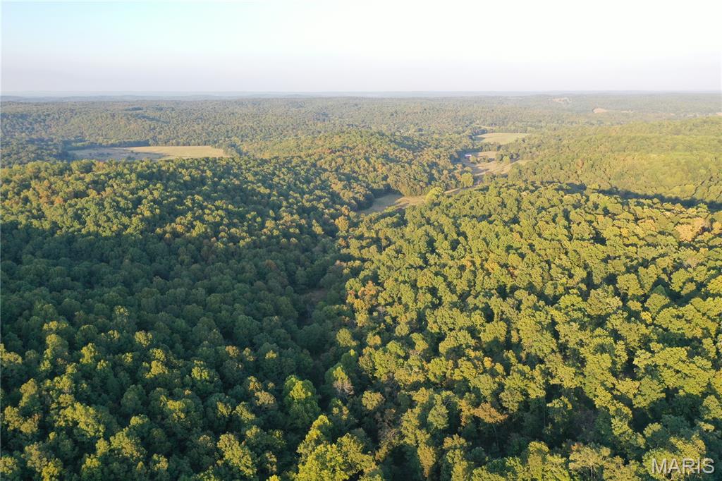 Tdb Upper Janes Creek Road Ravenden, AR 72459 - Photo 25 of 84
